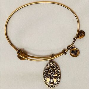 Alex and Ani Friendship Support Bracelet Bangle